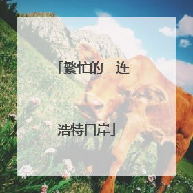 繁忙的二连浩特口岸