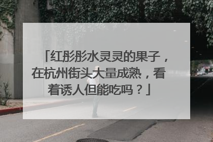 红彤彤水灵灵的果子，在杭州街头大量成熟，看着诱人但能吃吗？