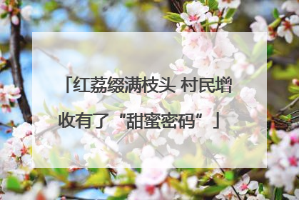 红荔缀满枝头 村民增收有了“甜蜜密码”