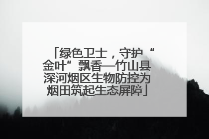 绿色卫士，守护“金叶”飘香—竹山县深河烟区生物防控为烟田筑起生态屏障