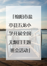 绵阳市盐亭县五龙小学开展全国无烟日主题班会活动