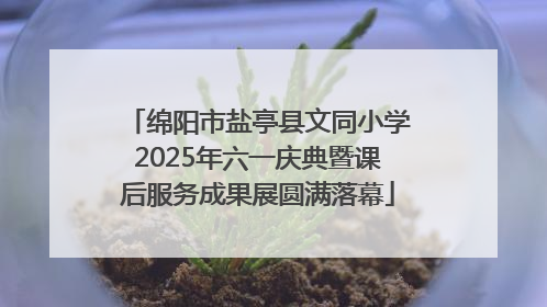 绵阳市盐亭县文同小学2025年六一庆典暨课后服务成果展圆满落幕