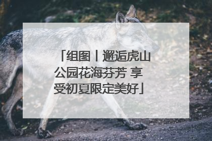 组图丨邂逅虎山公园花海芬芳 享受初夏限定美好
