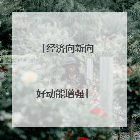 经济向新向好动能增强