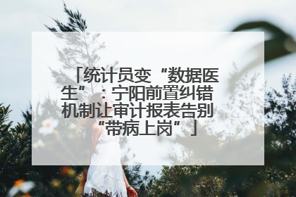 统计员变“数据医生”：宁阳前置纠错机制让审计报表告别“带病上岗”