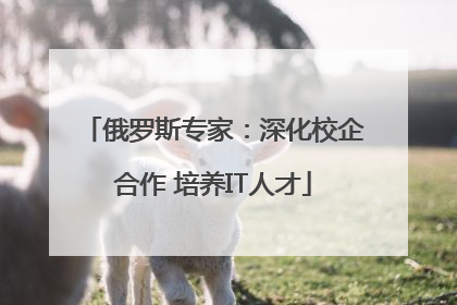 俄罗斯专家：深化校企合作 培养IT人才