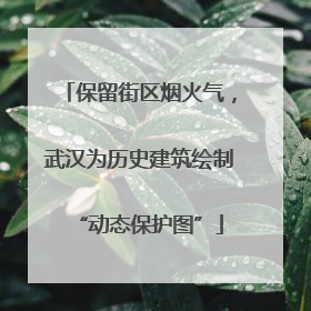 保留街区烟火气，武汉为历史建筑绘制“动态保护图”