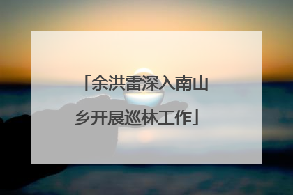 余洪雷深入南山乡开展巡林工作