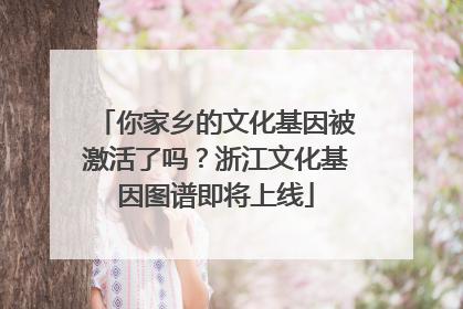 你家乡的文化基因被激活了吗？浙江文化基因图谱即将上线