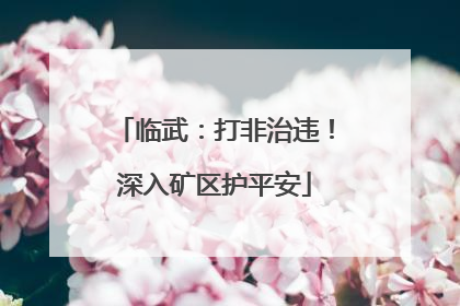 临武：打非治违！深入矿区护平安