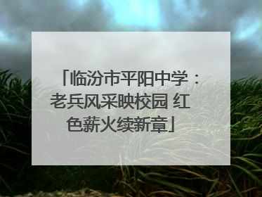 临汾市平阳中学：老兵风采映校园 红色薪火续新章