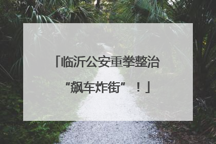 临沂公安重拳整治“飙车炸街”！