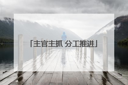 主官主抓 分工推进