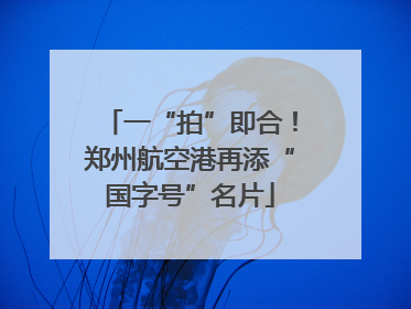 一“拍”即合！郑州航空港再添“国字号”名片