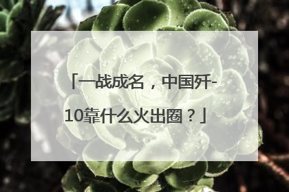 一战成名，中国歼-10靠什么火出圈？