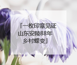 一枚印章见证山东安陵88年乡村蝶变