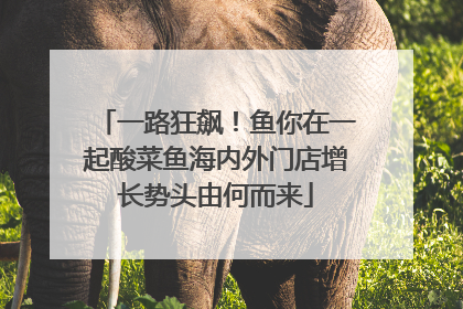 一路狂飙！鱼你在一起酸菜鱼海内外门店增长势头由何而来