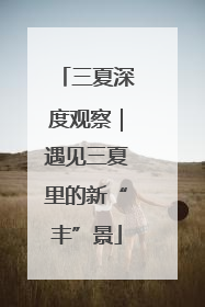 三夏深度观察｜遇见三夏里的新“丰”景