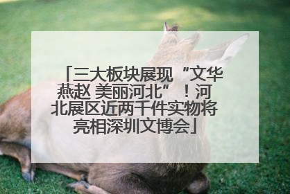 三大板块展现“文华燕赵 美丽河北”！河北展区近两千件实物将亮相深圳文博会