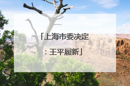 上海市委决定：王平履新