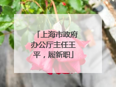上海市政府办公厅主任王平，履新职