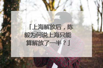上海解放后，陈毅为何说上海只能算解放了一半？