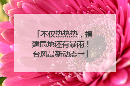 不仅热热热，福建局地还有暴雨！台风最新动态→