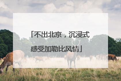 不出北京，沉浸式感受加勒比风情