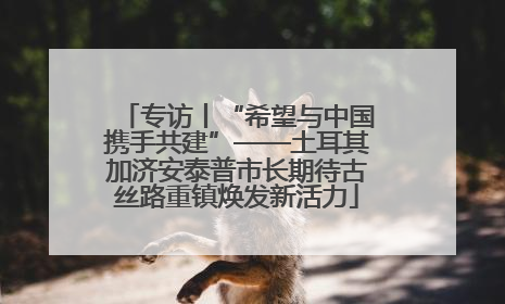 专访丨“希望与中国携手共建”——土耳其加济安泰普市长期待古丝路重镇焕发新活力