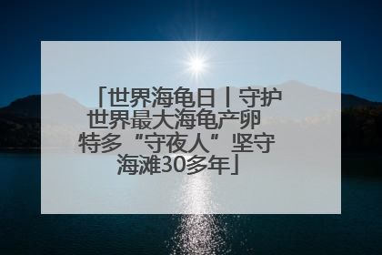 世界海龟日丨守护世界最大海龟产卵 特多“守夜人”坚守海滩30多年