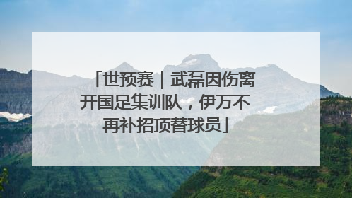 世预赛｜武磊因伤离开国足集训队，伊万不再补招顶替球员