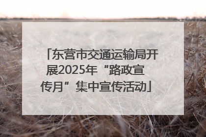 东营市交通运输局开展2025年“路政宣传月”集中宣传活动