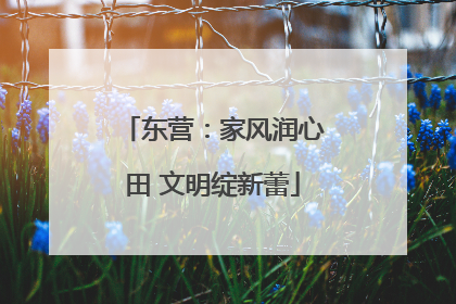 东营：家风润心田 文明绽新蕾