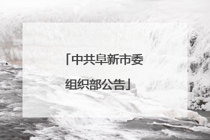 中共阜新市委组织部公告
