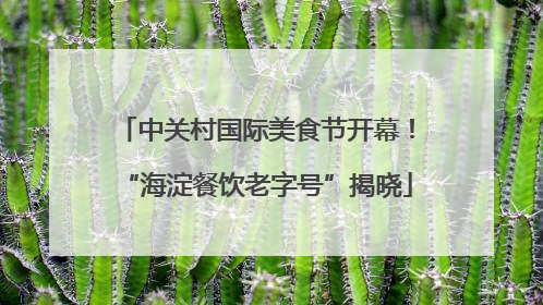 中关村国际美食节开幕！“海淀餐饮老字号”揭晓