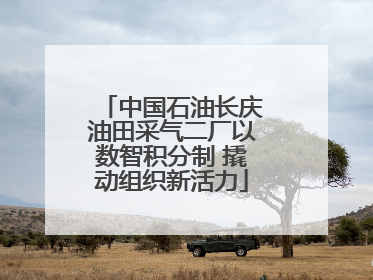 中国石油长庆油田采气二厂以数智积分制 撬动组织新活力