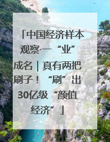 中国经济样本观察·一“业”成名｜真有两把刷子！“刷”出30亿级“颜值经济”