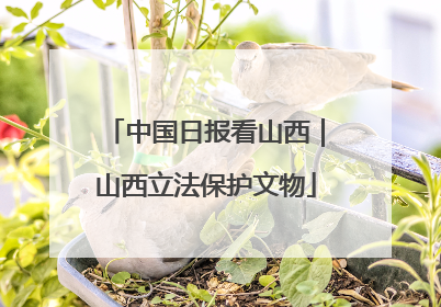 中国日报看山西｜山西立法保护文物