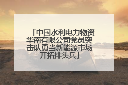 中国水利电力物资华南有限公司党员突击队勇当新能源市场开拓排头兵