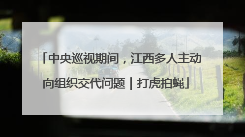 中央巡视期间，江西多人主动向组织交代问题｜打虎拍蝇