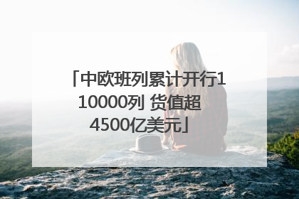 中欧班列累计开行110000列 货值超4500亿美元