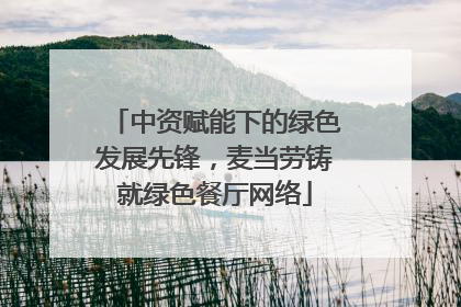 中资赋能下的绿色发展先锋，麦当劳铸就绿色餐厅网络