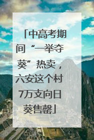 中高考期间“一举夺葵”热卖，六安这个村7万支向日葵售罄