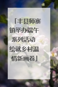 丰县师寨镇举办端午系列活动 绘就乡村温情新画卷