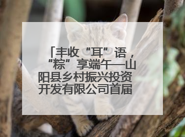 丰收“耳”语，“粽”享端午—山阳县乡村振兴投资开发有限公司首届木耳采摘活动盛大启幕