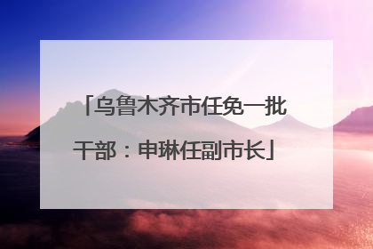 乌鲁木齐市任免一批干部：申琳任副市长