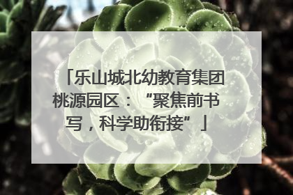 乐山城北幼教育集团桃源园区：“聚焦前书写，科学助衔接”