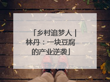 乡村追梦人｜林丹：一块豆腐的产业逆袭