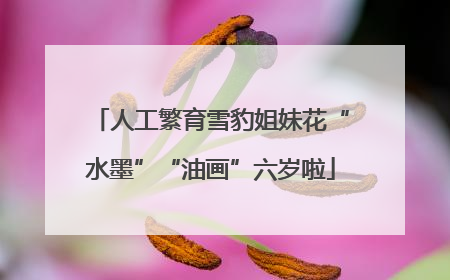人工繁育雪豹姐妹花“水墨”“油画”六岁啦