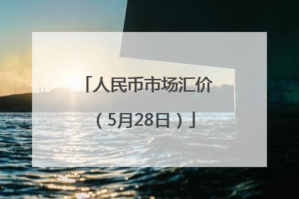 人民币市场汇价（5月28日）